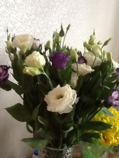 Наталия Сереброва