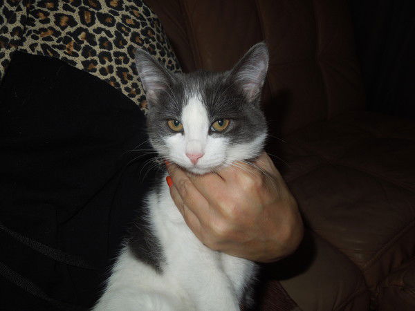 Олег Руднев