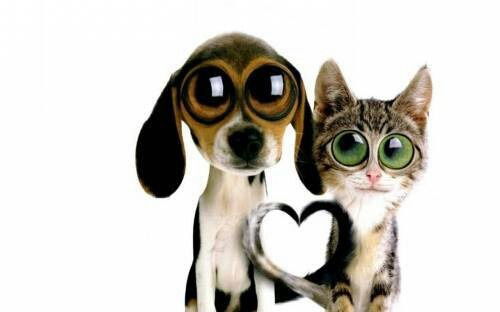 Николай Чураков