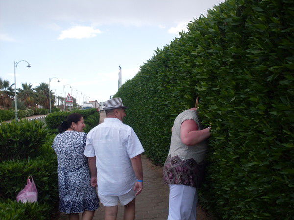 Оксана Потапова