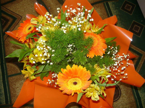 Виктория Смолинец