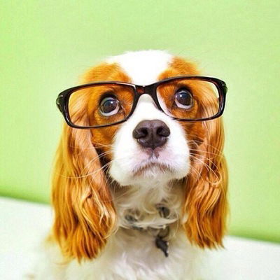 Вика Горячёва