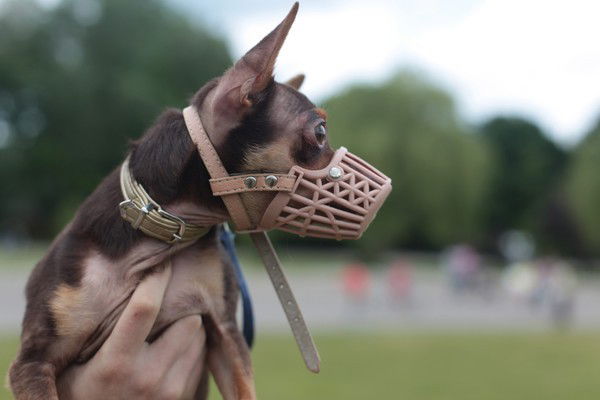 Мария Наместникова