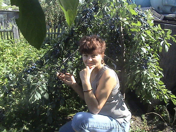 Василиса Www