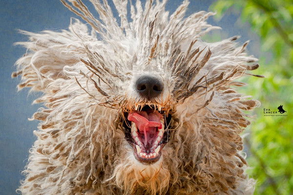 Елена Новожилова