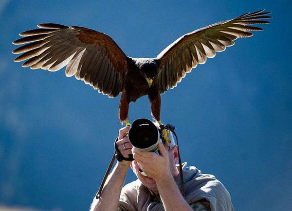 Ваши Мастера