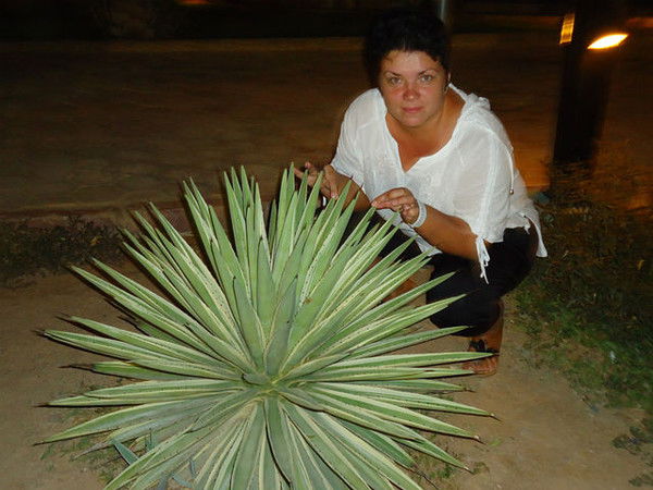 Ирина Спицкая