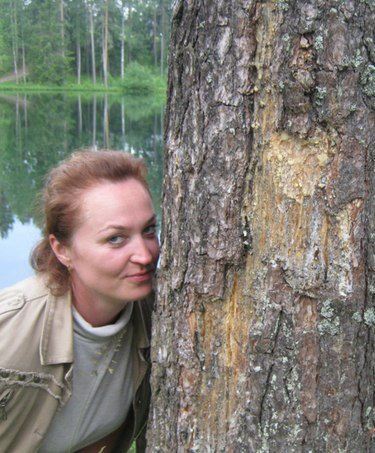 Светлана Сахатарова