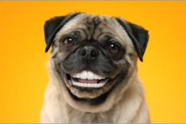 Рифат Зарипов