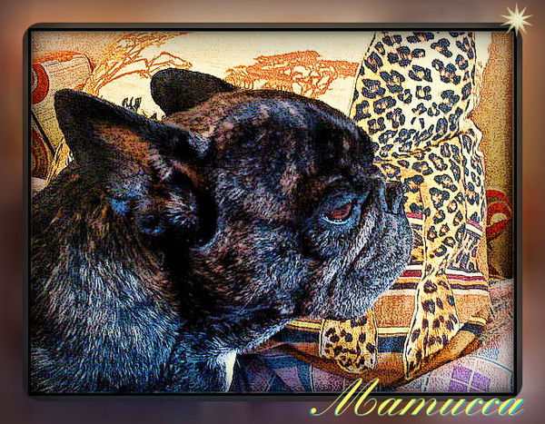 Надежда Самсонова