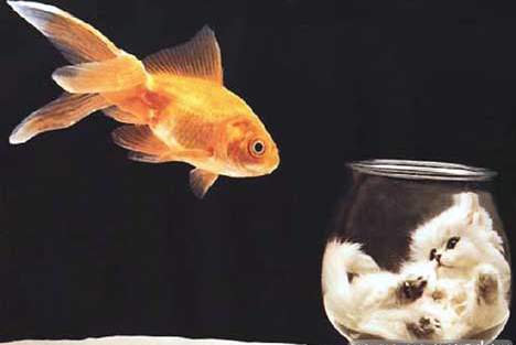 Татьяна Тычинина