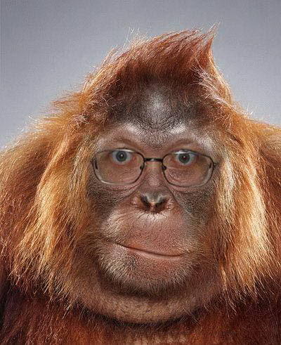 Сергей Сигаев