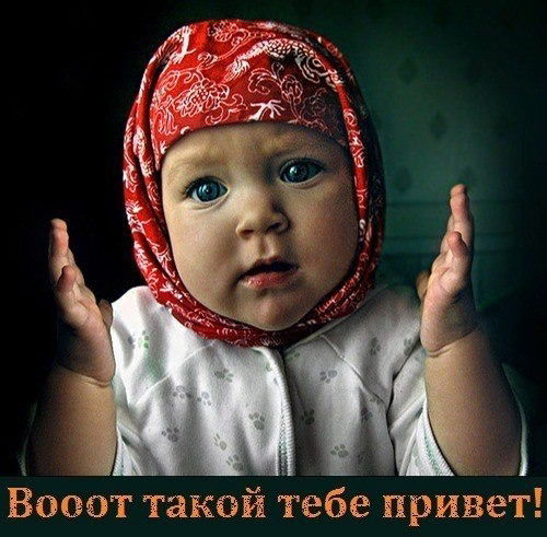 Алла Полушкина