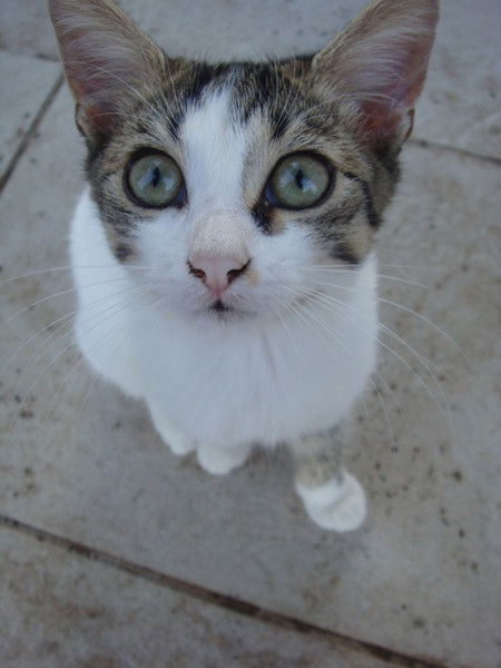 Алма Амирханова