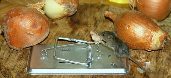 Виталий Дудкин