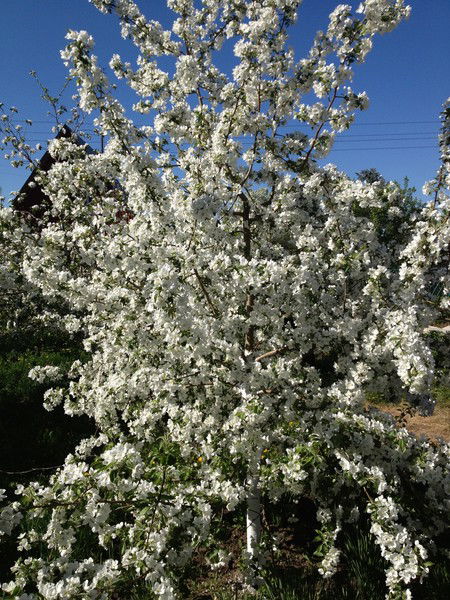 Андрей Рязанов