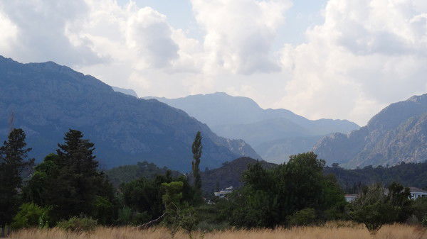 Лариса Тагильцева