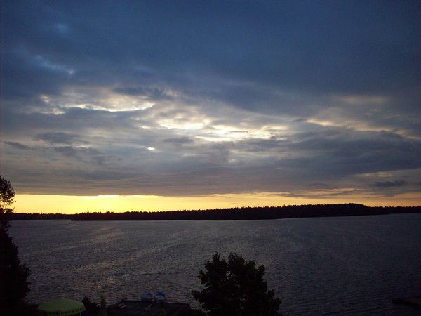 Никита Ермолаев