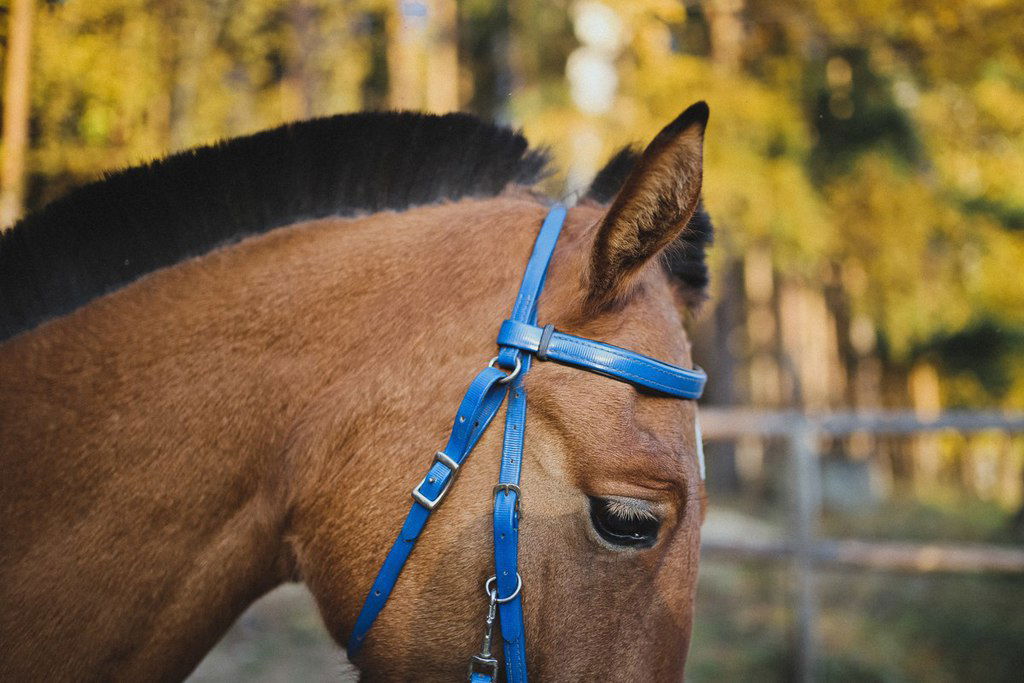Ктб Свобода