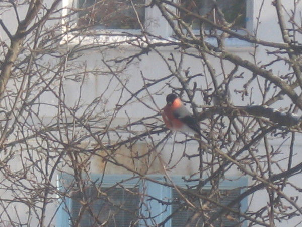 Алексей Омельчук