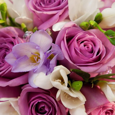 Елена Нарежникова-Демидова