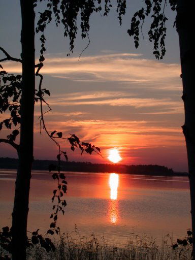 Наталья Мурашко