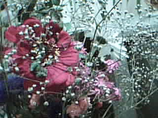 Ирина Воронович