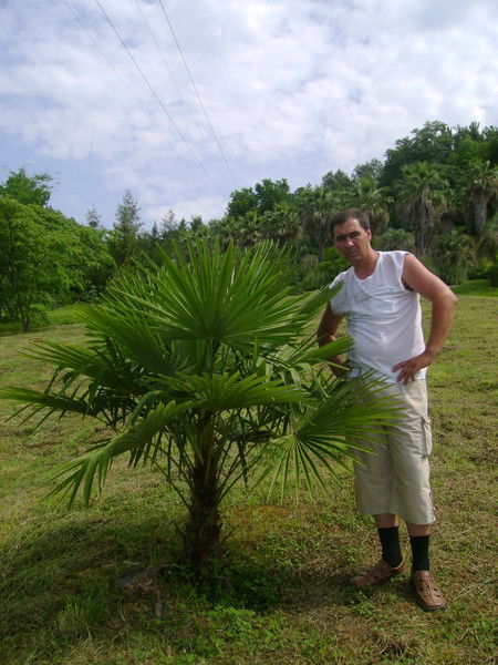 Алексей Зарудний