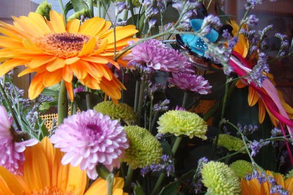 Наталья Милошевская