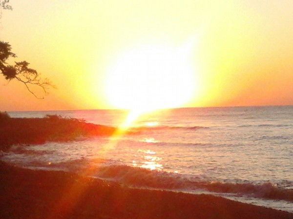 Елизавета Коновалова