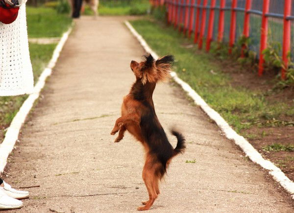 Ольга Христофорова