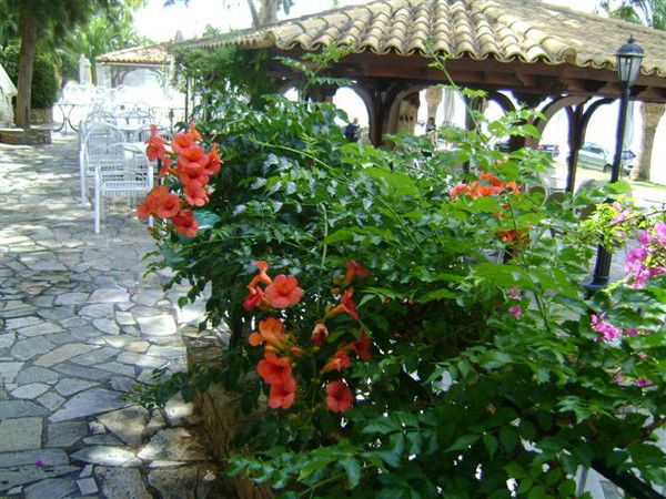 Светлана Ростовцева