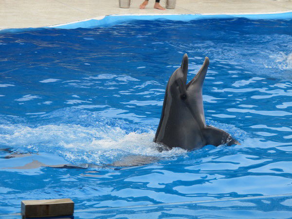 Раушан Туребаева