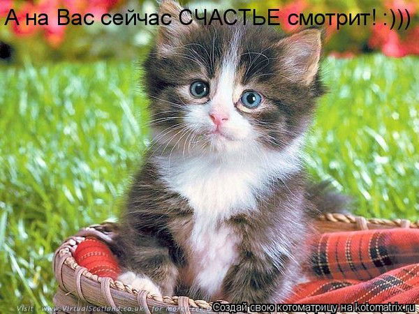 Cергей Липський