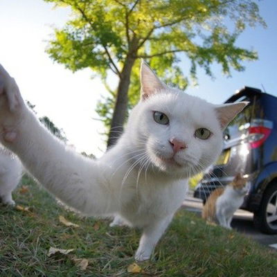 Никита Катасонов