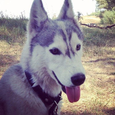 Алексей Ремизов