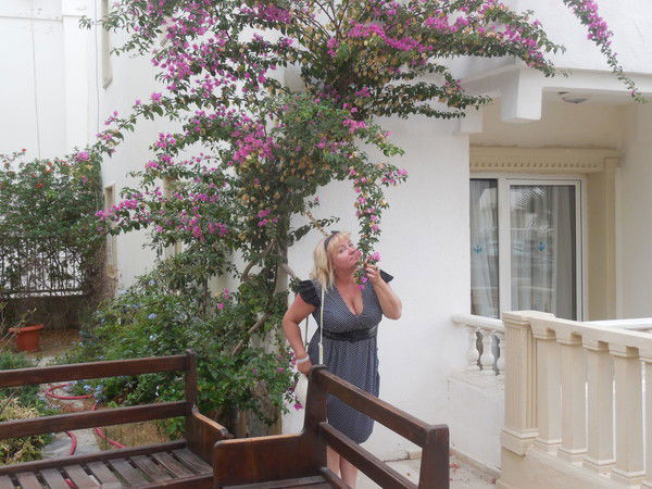 Елена Кобзева