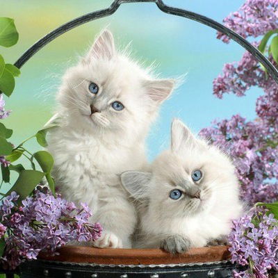 Галина Давыдова