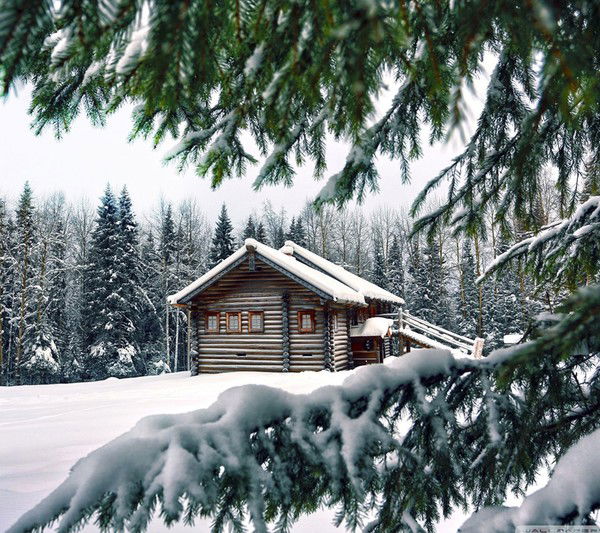 Алексей Черепанов