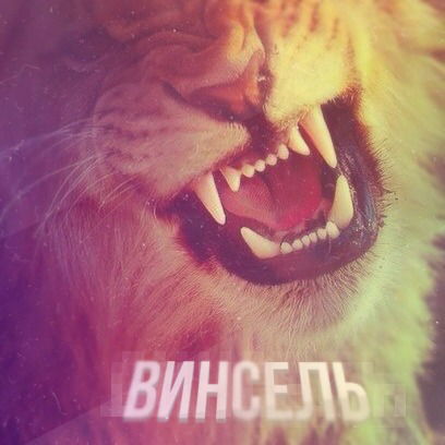 Алексей Марчук