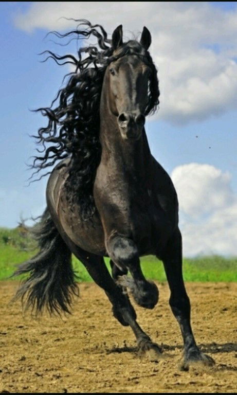 $$$$$$ ₽₽₽₽₽₽