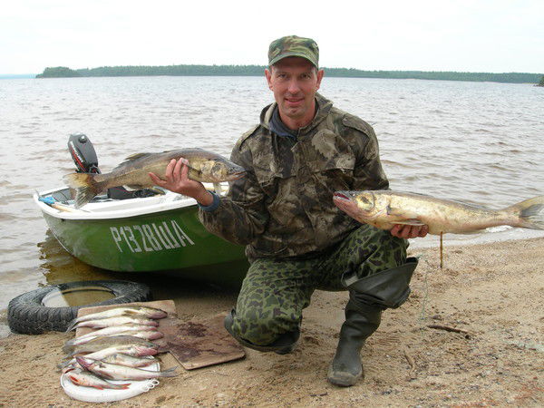 Андрей Сероносов