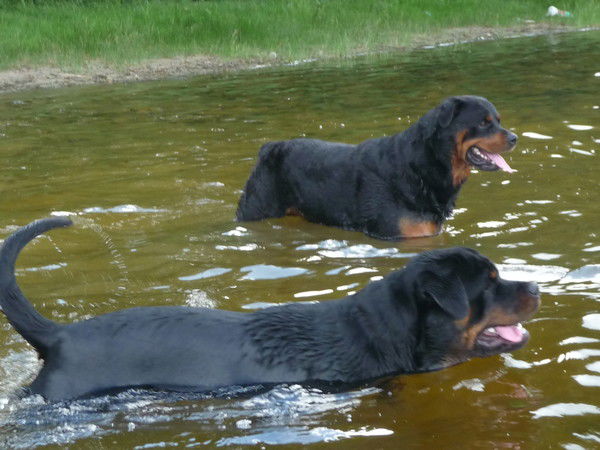 Ната Наталья