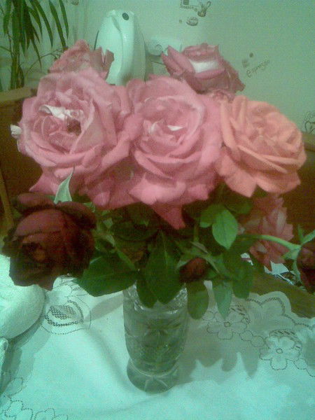 Алина Скорик