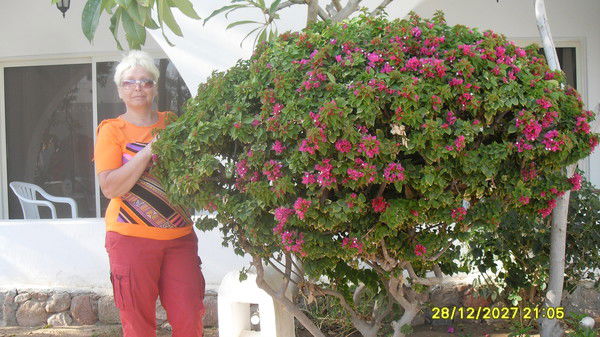 Светлана Мурзакаева