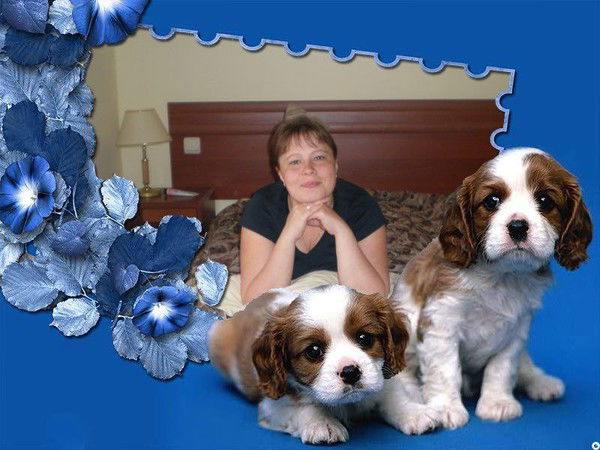 Елена Морозова