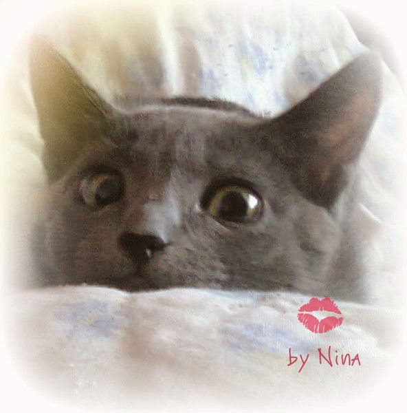 Нина Алеkсандровна