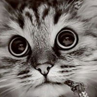 Александр Гук