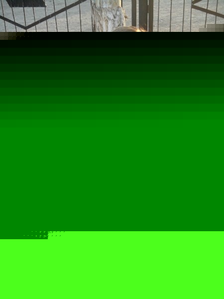 Натали Чучуй