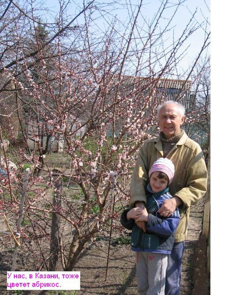 Владимир Костюков